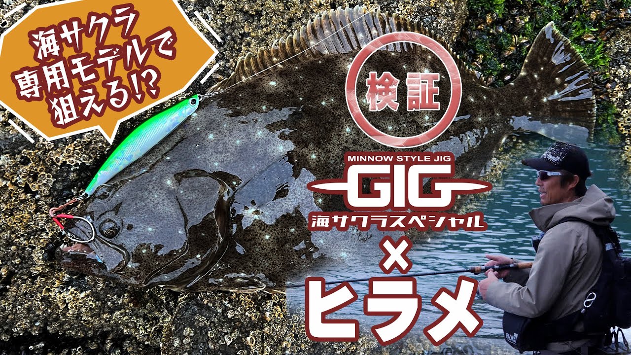 Verification! Can you catch flounder with GIG Umi Sakura Special