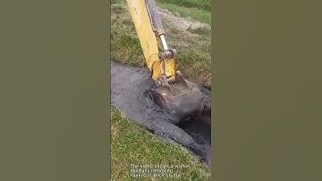 Sludge Cleanup Mastery: Clearing the Ditch Like a Pro