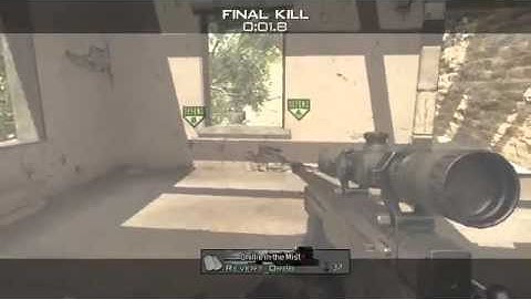 Window Shot (MW3)