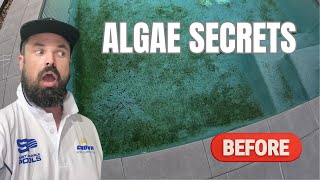 ALGAE POOL CLEANING SECRETS