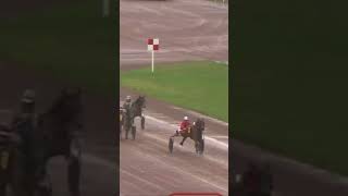 Kino De Laumiere Äst