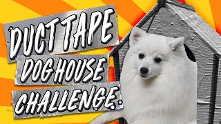 The Duct Tape Dog House Challenge!