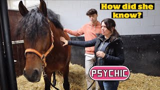 HORSE PSYCHIC TALKS TO MY NEW HORSE