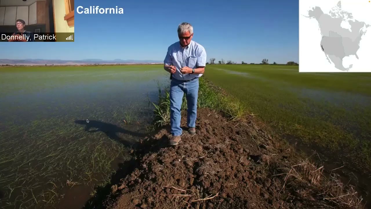 Wetland and migratory bird conservation in the era of climate change - Patrick Donnelly