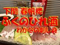 【ふくのひれ酒】料亭の味！おいしいひれ酒頂きました！