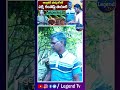 వెర్మి కంపోస్ట్ లో సహజమైన వ్యవసాయం || Natural Farming || @LegendTvTelugu1