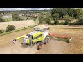 Claas Lexion 8900 // Vario 1380 // Gerstenernte // Ernte 2020 // 4K