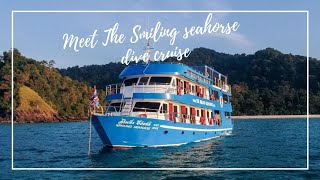 The Smiling Seahorse Dive Boat