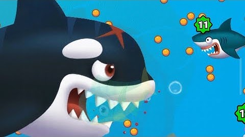 #Fish Evolution - Level up fish max level # Gameplay (merge fish ) Insect Evolution #