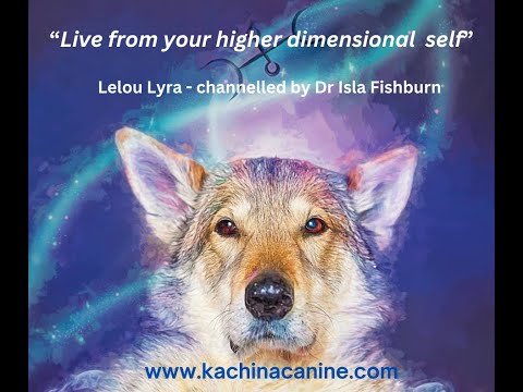 Live from your higher dimensional self - channelled message from my dog Lelou Lyra