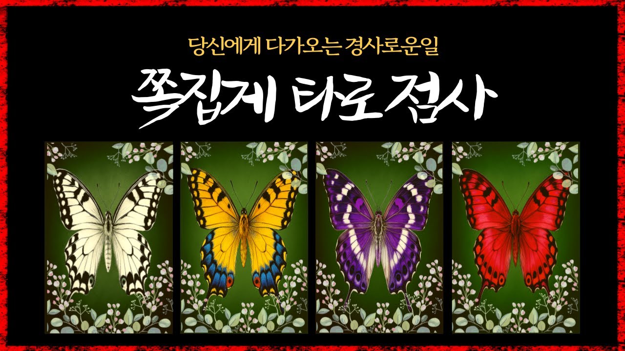 [타로]곧 당신에게 놓이게 될 큰 경사의 복🙏#행운