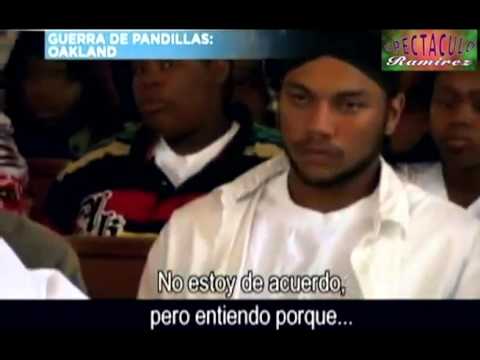 Vídeo: Vida Criminal: Guerras De Pandillas