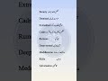 The "Context & Meaning" Style (Deep Dive)