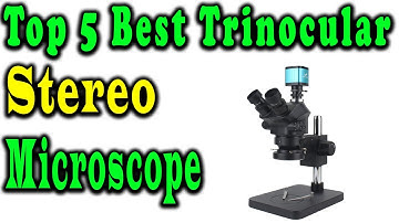 5 Best Trinocular Stereo Microscope Review 2023