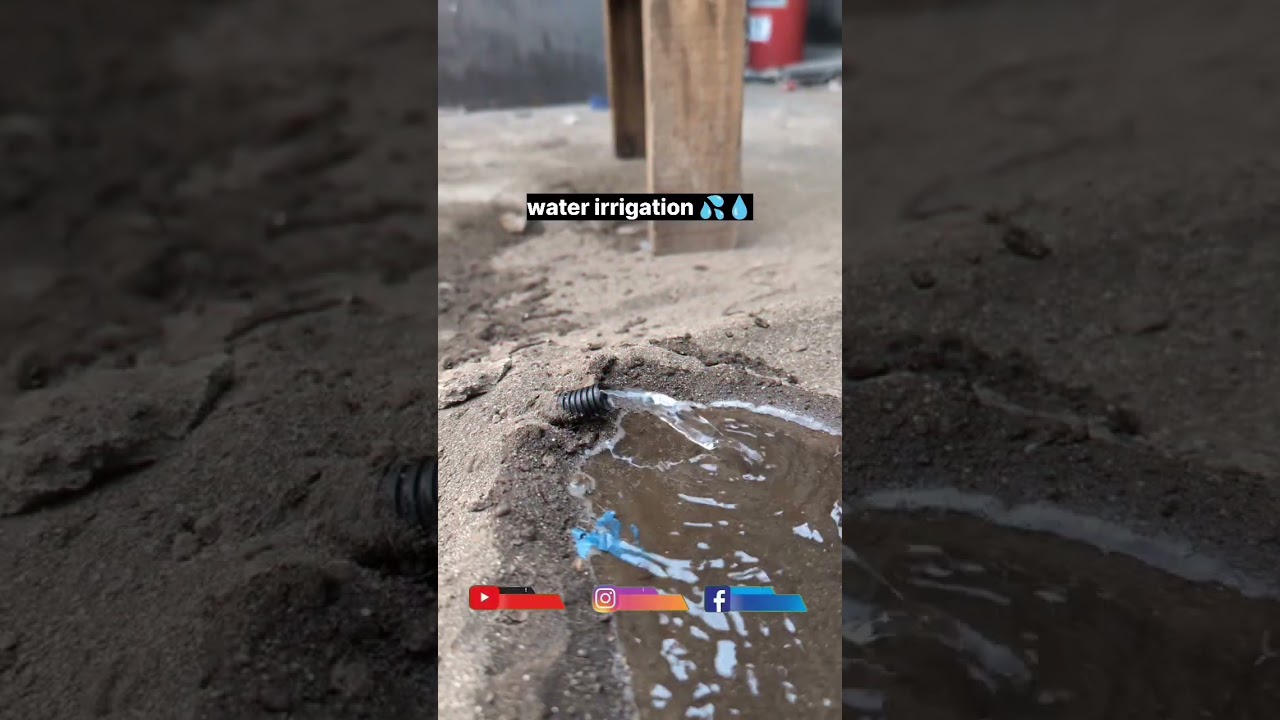 🌱Kheti ka pehla kadam | Next chapter ke liye subscribe karlo🙏