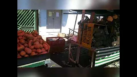 Trip to the local fair