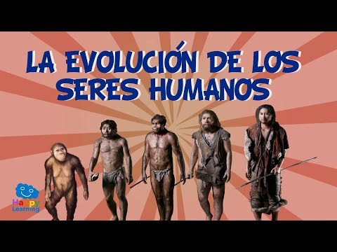 LA EVOLUCIÓN DE LOS SERES HUMANOS. Del Australopithecus al homo sapiens sapiens| Videos Educativos