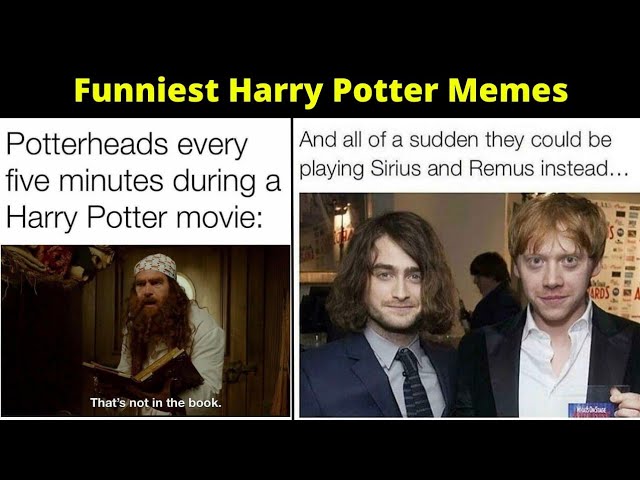 The funniest Harry Potter memes 