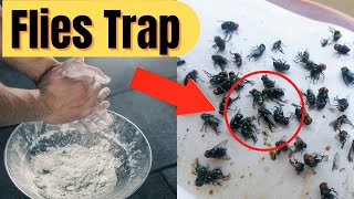 How To Get Rid of Flies in The House Naturally / Flies Trap / Flies Killer Home Remedy