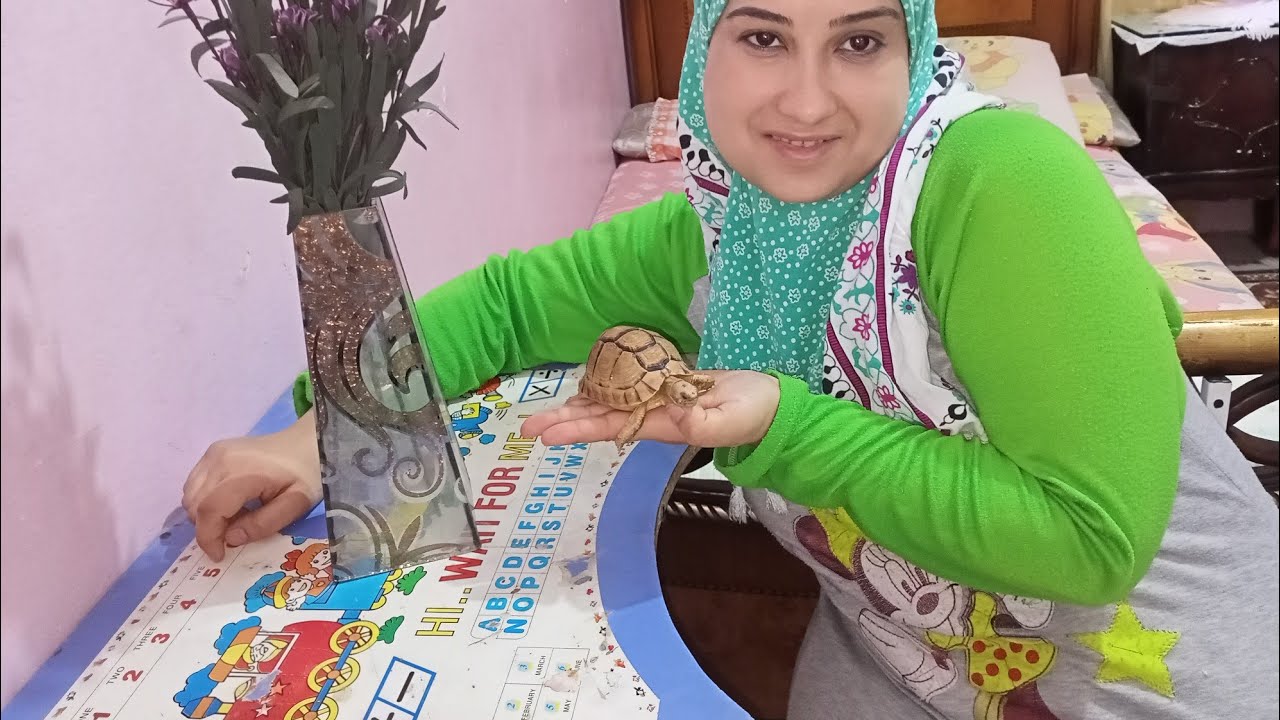 اليوم دا كنت مرتبة لحاجة وجات حاجة تانية خالص بسبب اخويا شوفوا الفديو للآخر هتعرفوا😱😱😱