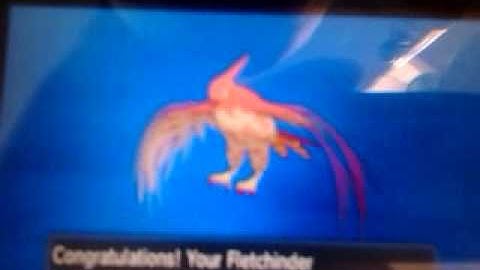 Shiny Fletchinder evolves into Shiny Talonflame