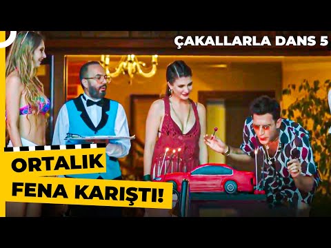 Anlamadı Şapşik | Çakallarla Dans 5