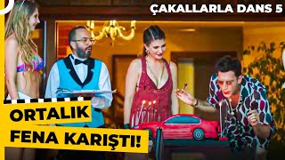 Anlamadı Şapşik Çakallarla Dans 5