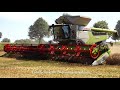 Claas Lexion 8900 - Hawe - + / Getreideernte - Grain Harvest 2020  pt.1