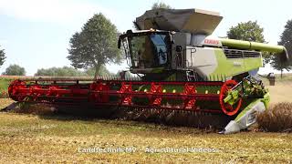 Claas Lexion 8900 - Hawe - + / Getreideernte - Grain Harvest 2020  pt.1