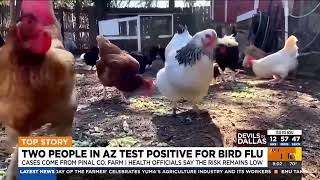 2 people in Arizona test positive for bird flu