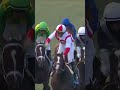 #BreedersCup + HOTY Winners #Shorts