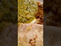 #breakfast #shortvideo