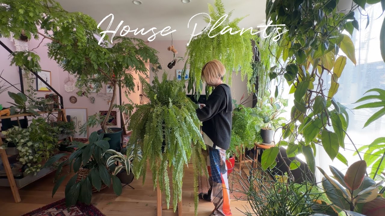 ネフロレピスと、やり直す冬｜（with English subtitles）植物のある暮らし｜観葉植物｜ガーデニング