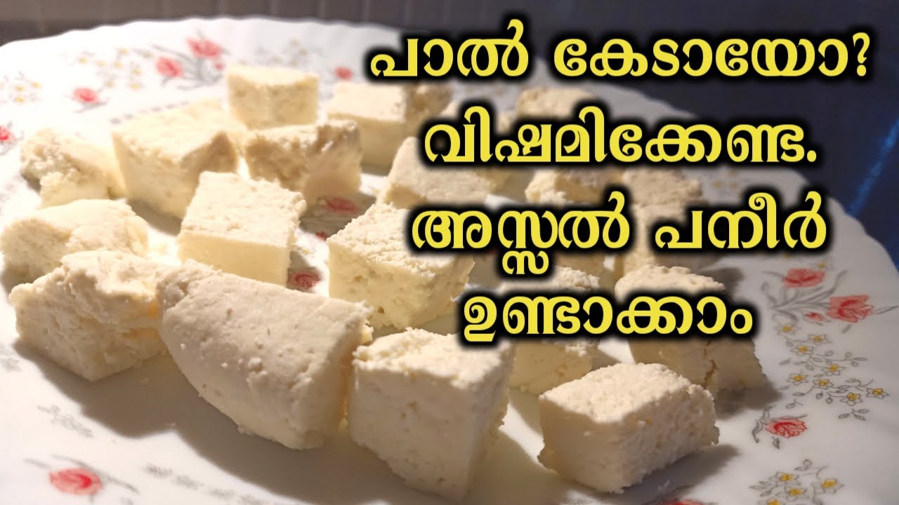 Have Curdled Milk?Make easy homemade paneer പാല്‍ കേടായോ?വിഷമിക്കേണ്ട