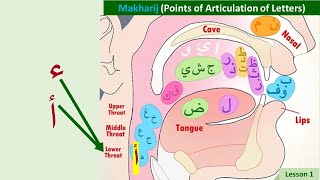 Hamza ء  Makhraj Practice