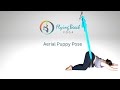 Aerial Puppy Pose