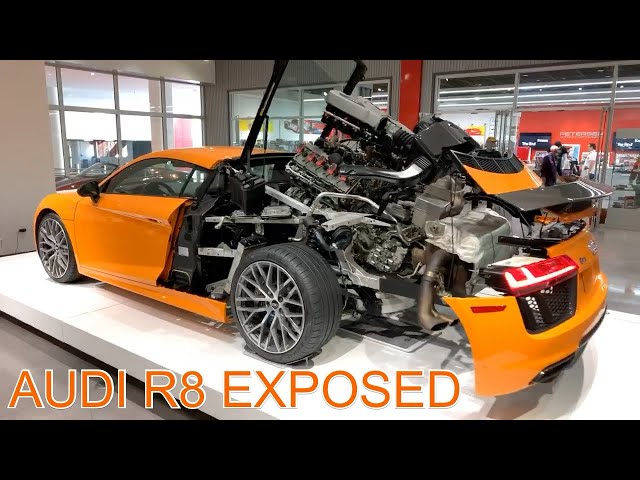 NEWS  High Performance In Its Purest Form: The new Audi R8 GT — Petersen  Automotive Museum