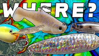 Where Do Bass Go When Its Hot?! ( And How To Catch Them )
