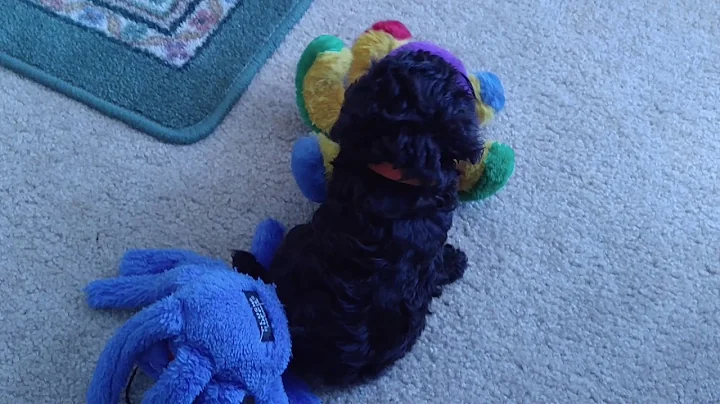 Theodore Graham aka Teddy