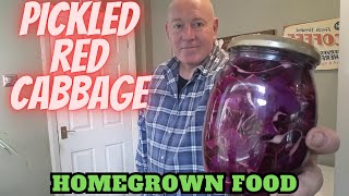 Homemade Pickled Red Cabbage   [ How To Cook At Home] [ Easy Food Recipes ]