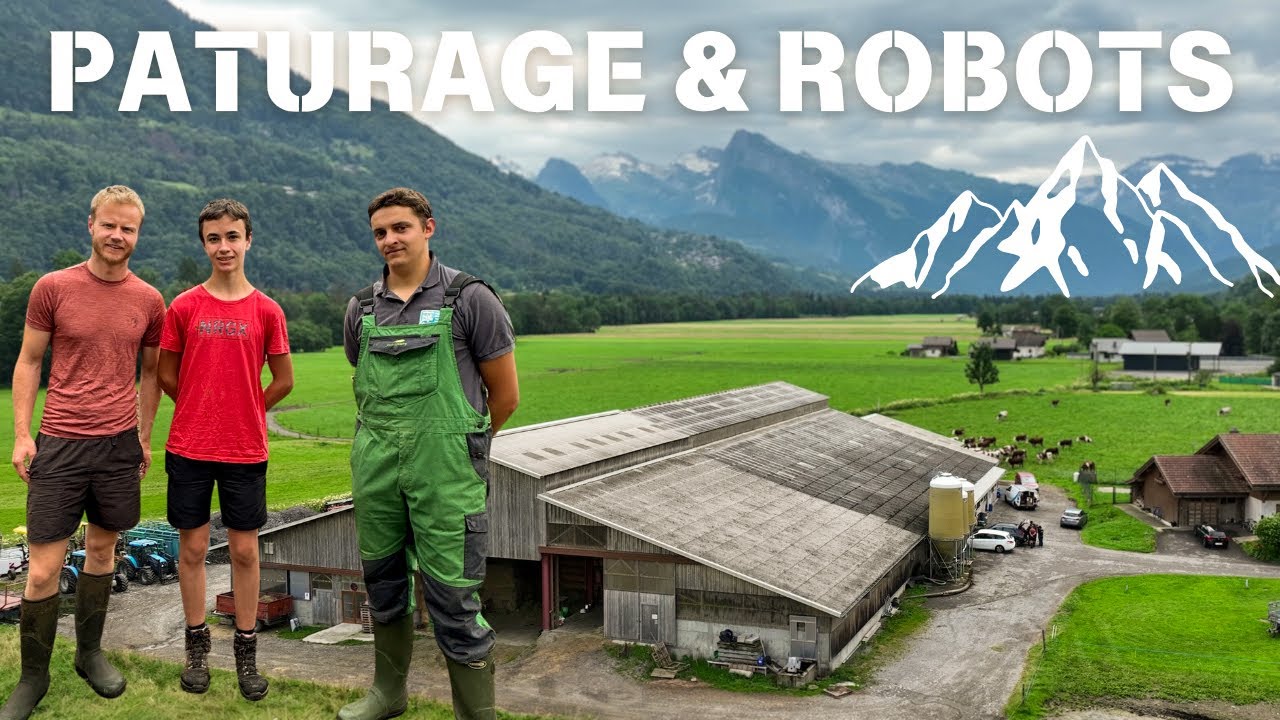 Pâturage & Robots en Montagne 🏔️