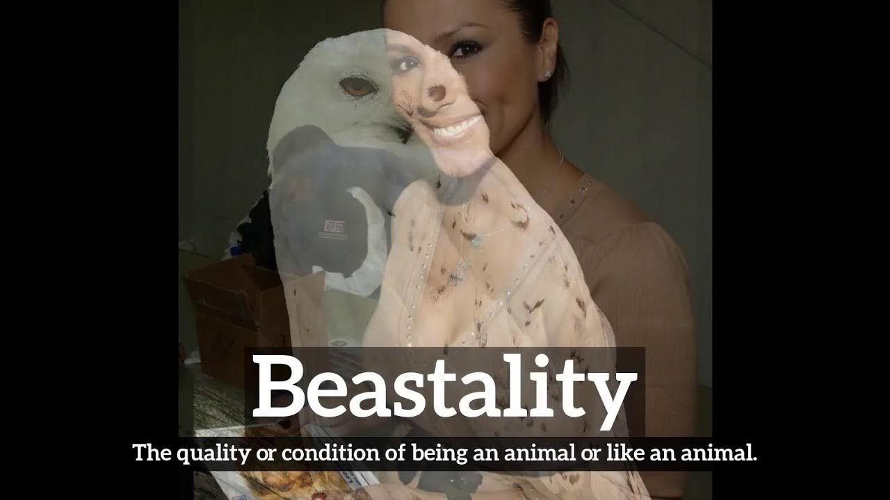 How Does Beastality Look? | What is Beastality? | How to Say Beastality