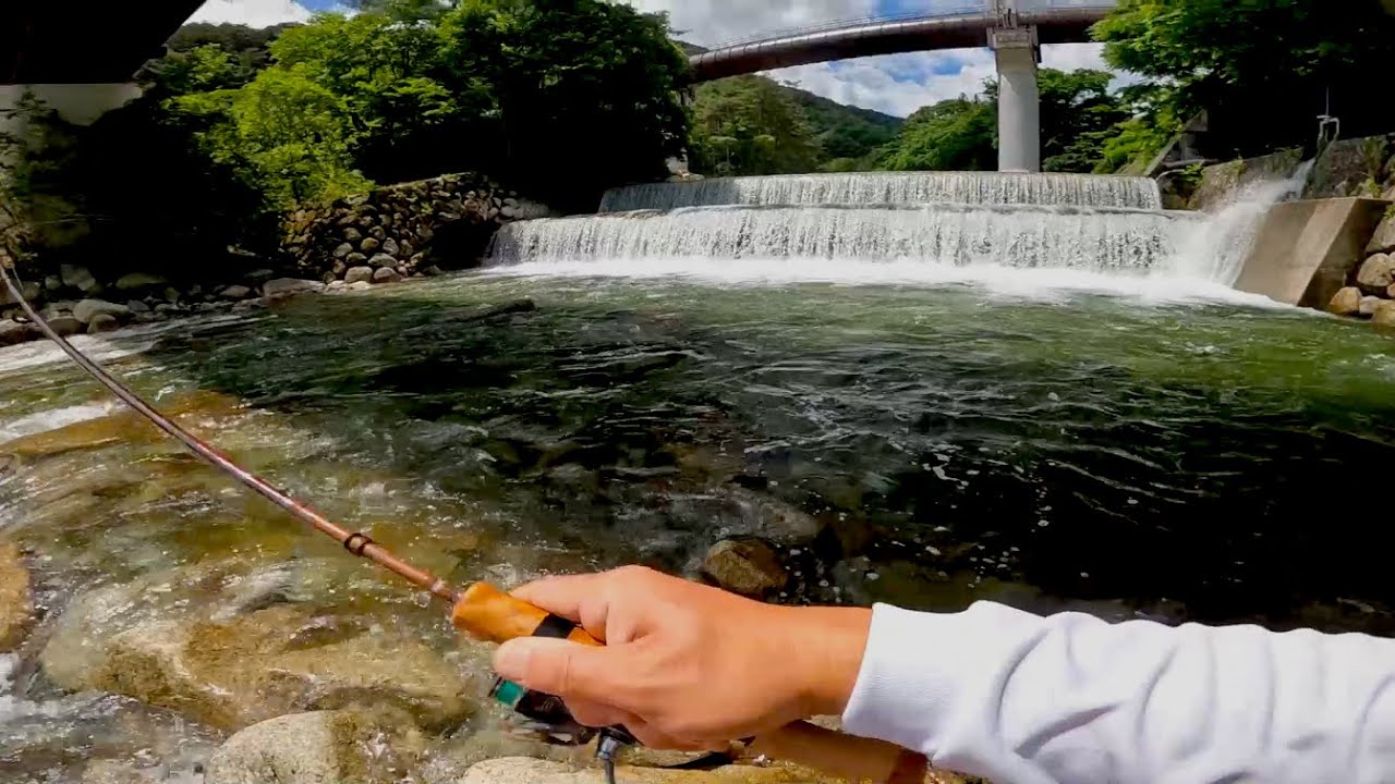 アマゴが釣りたいなら上松エリアへゆけ！本流アマゴが溜まる堰堤【木曽川漁協タイムズ18】