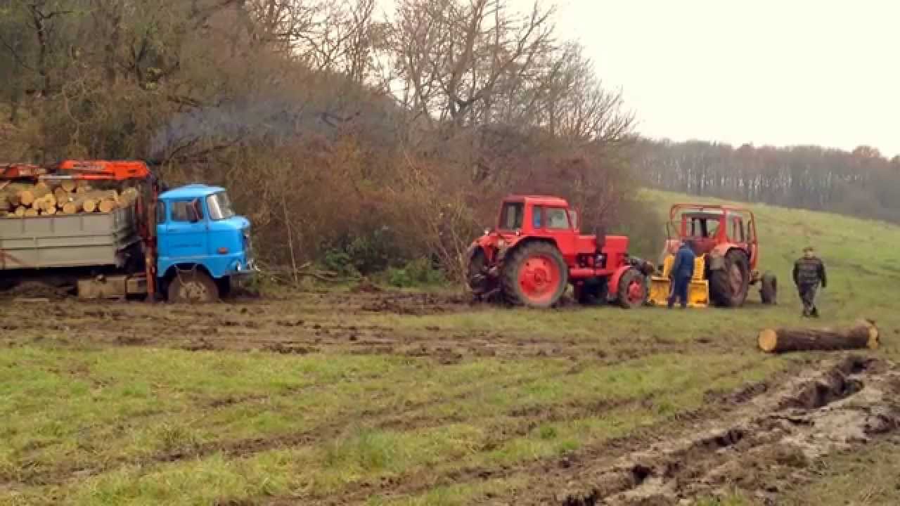 Ifa elakadás a réten 2