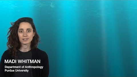 Why Data? (Video 2 of the Critical Data Studies Module 1)