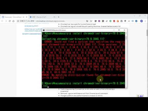 Seleniumのインストールからドライバーをインストールして簡単なスクレイピング