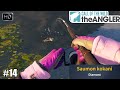 Call of the wild the angler 14 diamants  saumon kokani  achigan  grande bouche  crapet arlequin