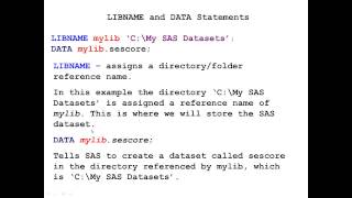 Permanent SAS Datasets