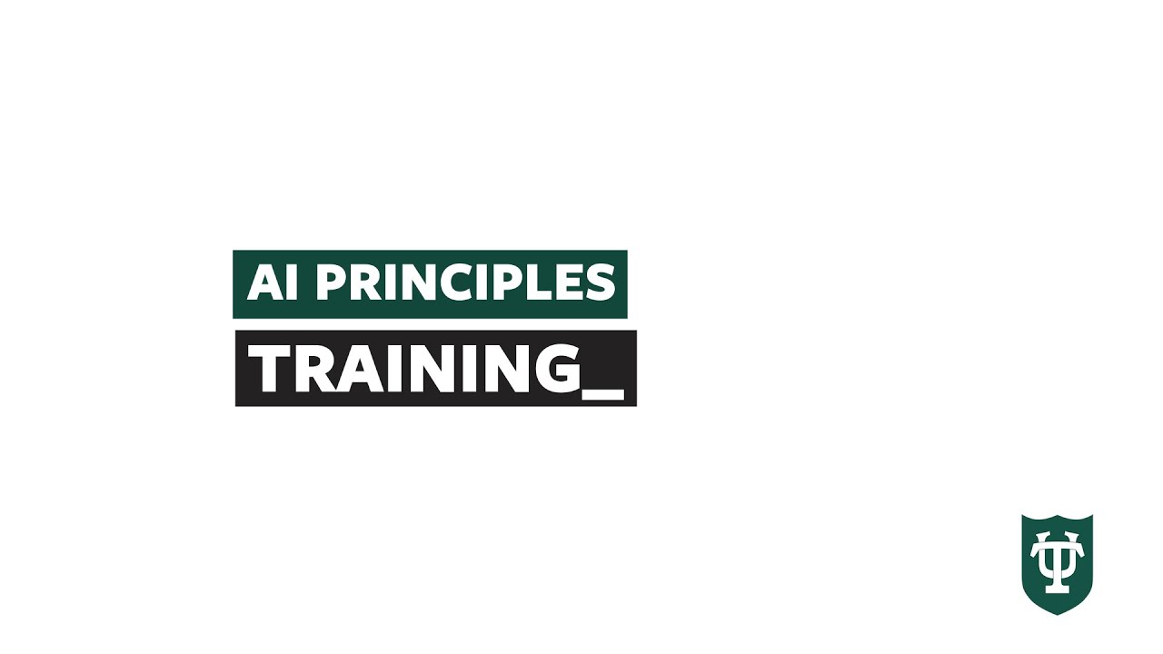 Core AI Principles 2: Training on Colossal Data Sets | Applied AI Literacy [2025]