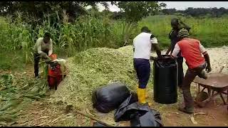 making silage on small scale